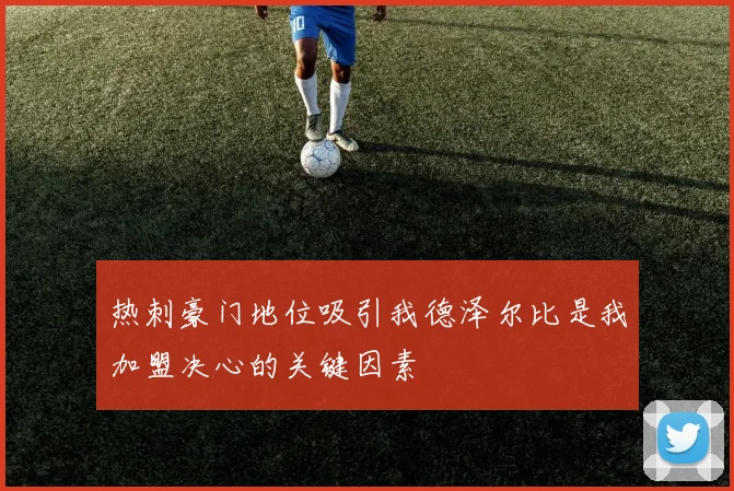 热刺豪门地位吸引我德泽尔比是我加盟决心的关键因素